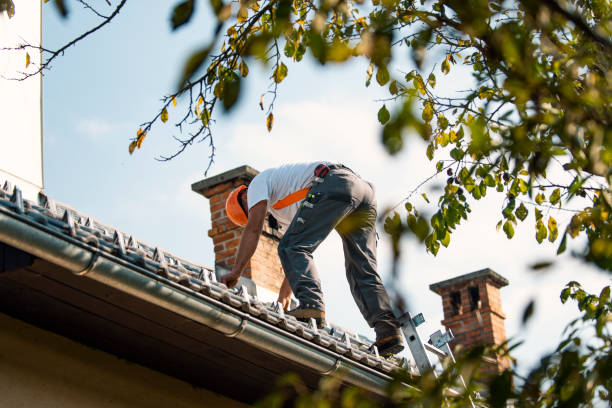 Best Cold Roofs  in Calhoun, GA